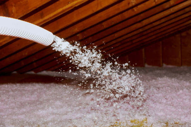 Best Attic Insulation Installation  in Holden, MO