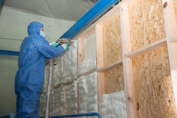 Best Insulation Installation Cost  in Holden, MO