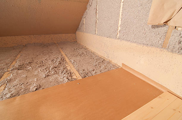 Best Garage Insulation Installation  in Holden, MO